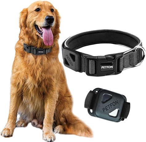 best dog tracker collars